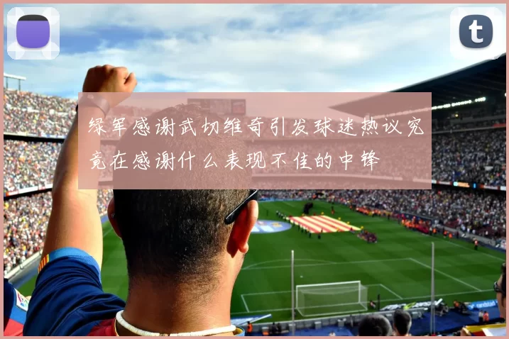 绿军感谢武切维奇引发球迷热议究竟在感谢什么表现不佳的中锋