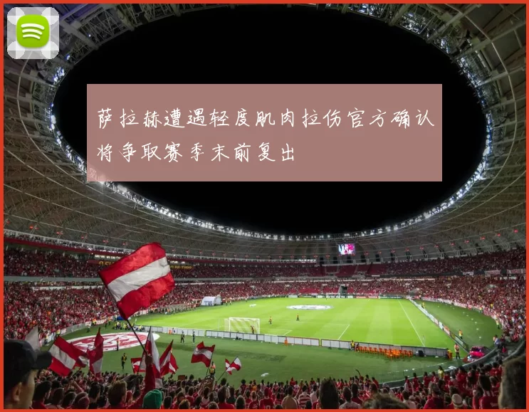 萨拉赫遭遇轻度肌肉拉伤官方确认将争取赛季末前复出